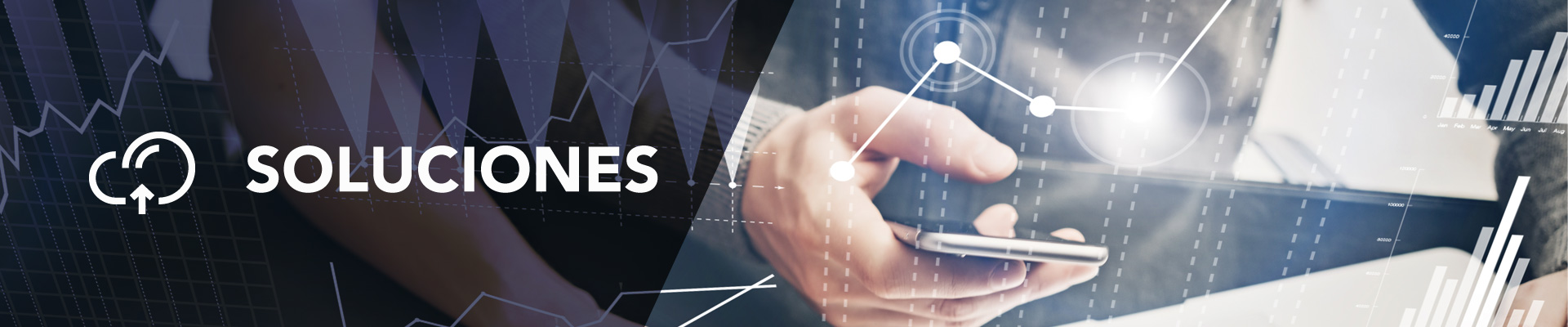 Soluciones - Tax Portal